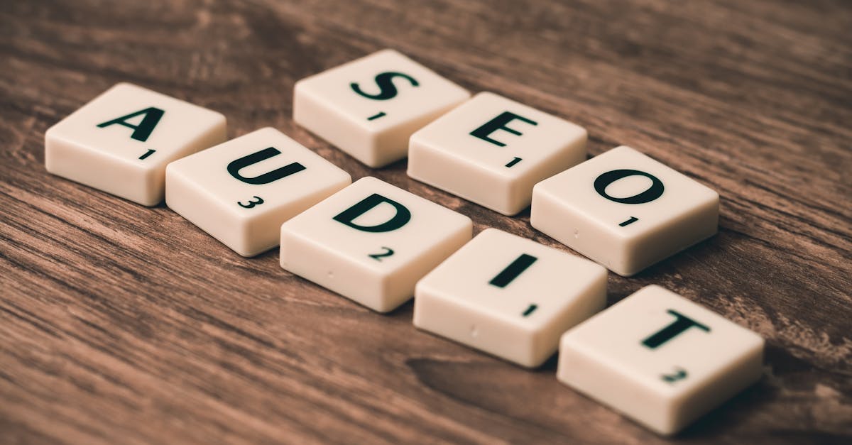 seo for business growth